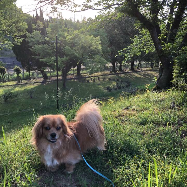 4addee7a e35c 4180 99d8 115ab804ffa3 1557525685983