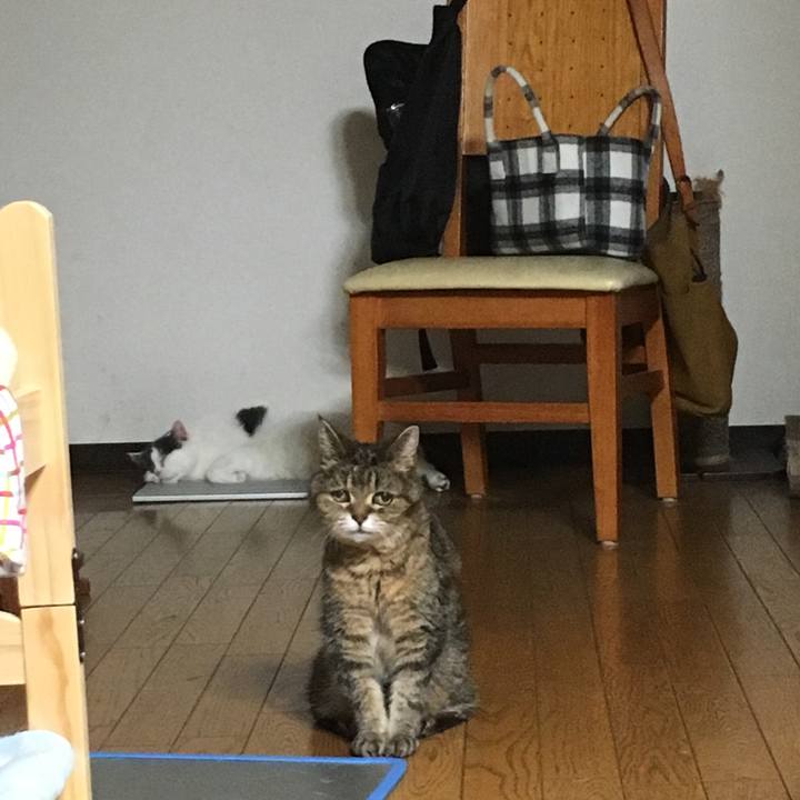 4ade113a 3fff 4160 aa07 fc52806d145e 1532086769820