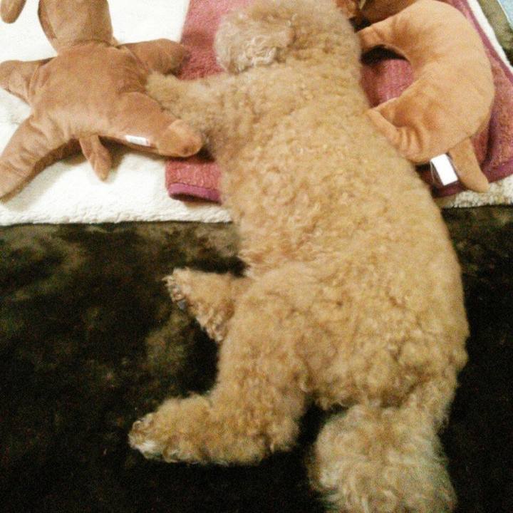 4ade5e63 187b 4c3f a823 1fcaf9f89e8c 1610255354732