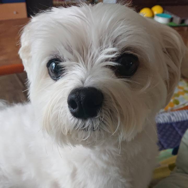 4adeb0b7 73ab 4765 8af8 9cb0bab4d56c 1561099978349