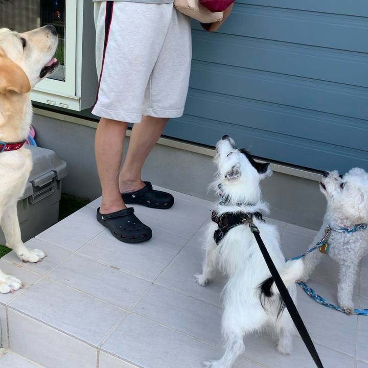 4adf2cf2 e0fb 41b4 a309 328d0a58981b 1755903627546