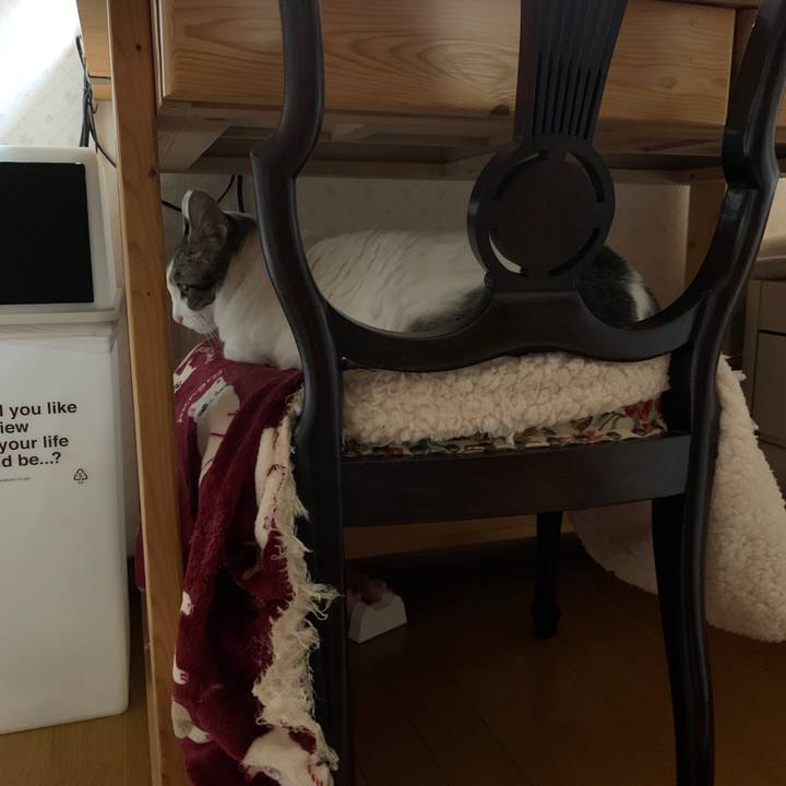 4adf6199 ed94 4024 8f8c 3a25415372e8 1664047852244