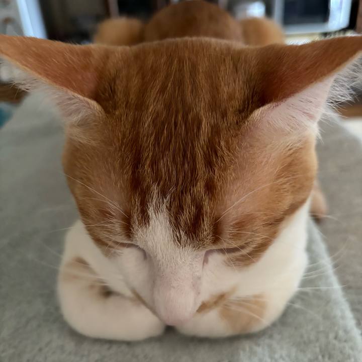 4adf8e86 cf5c 462d b330 47a0a075e87c 1719385117745