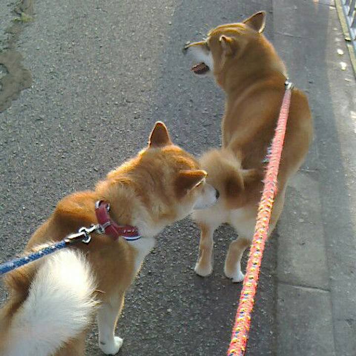 4adf8fc7 9285 47d2 97a7 26a258c48d33 1528555668223