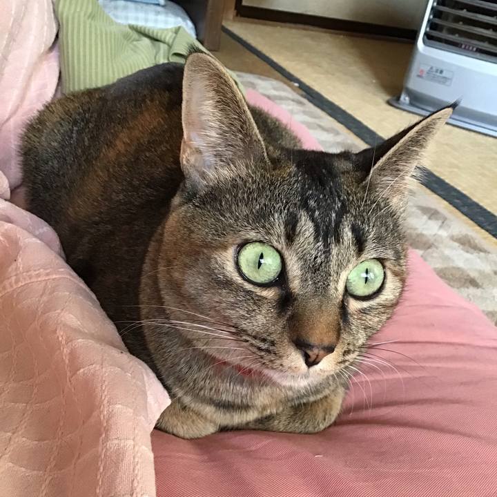 4adfcf29 5b47 4767 971c e8abb3713791 1641683854996