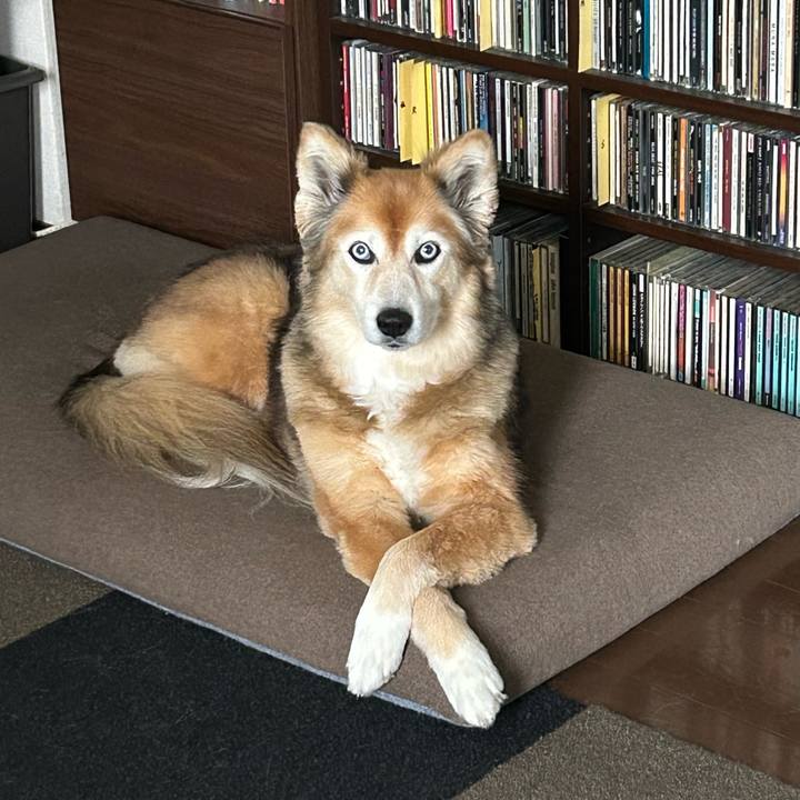 4adfeb8a 82c5 4236 a93b 84331415945c 1743557239565