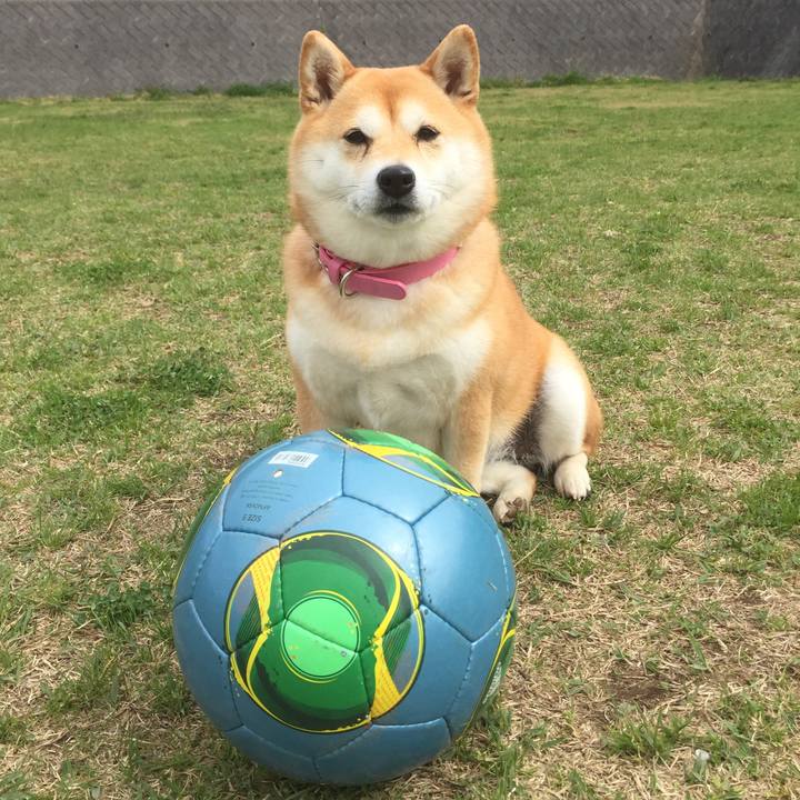 4adff4a5 e26a 4015 89e6 a80364bc7d55 1523504627104