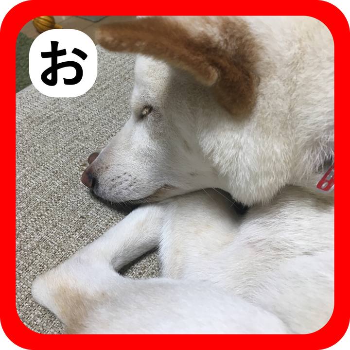 4ae006f1 9e12 4021 8359 91e3d4a22989 1515396718987