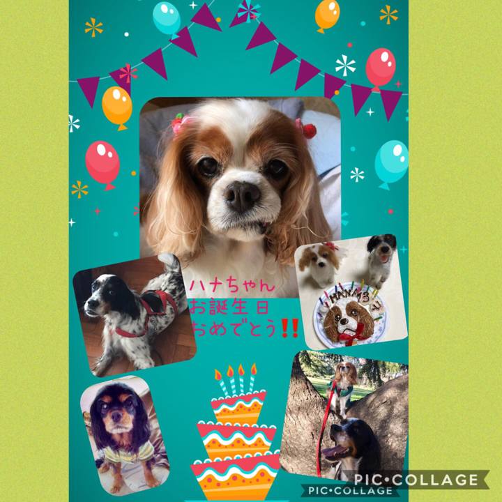 4ae05331 905f 4c58 9eee 964afa6d6b0a 1570013858647