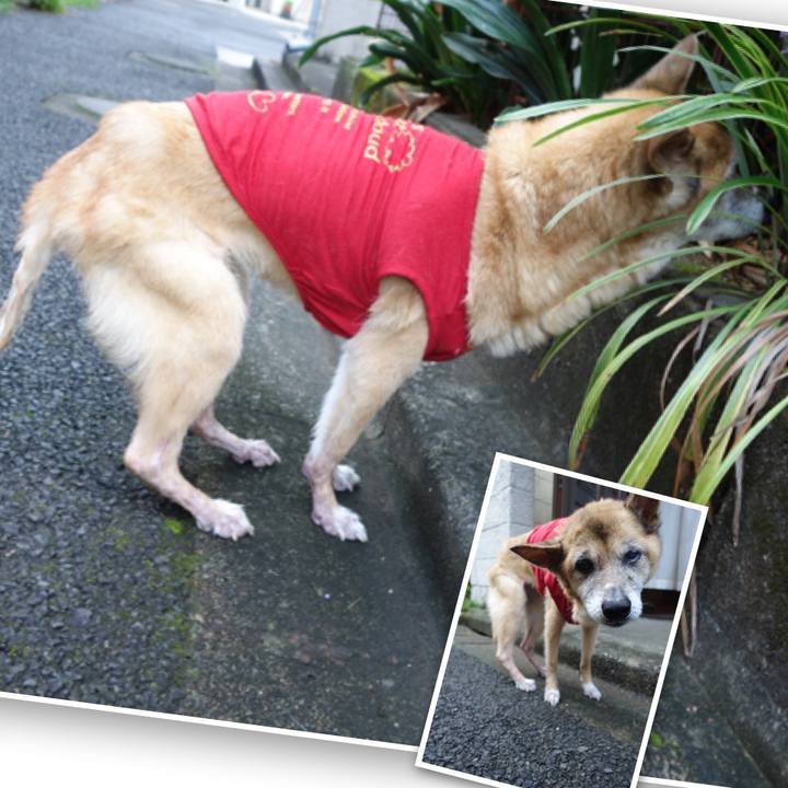 4ae08e0f 1d91 46c6 9678 e238b96fb098 1567031162097