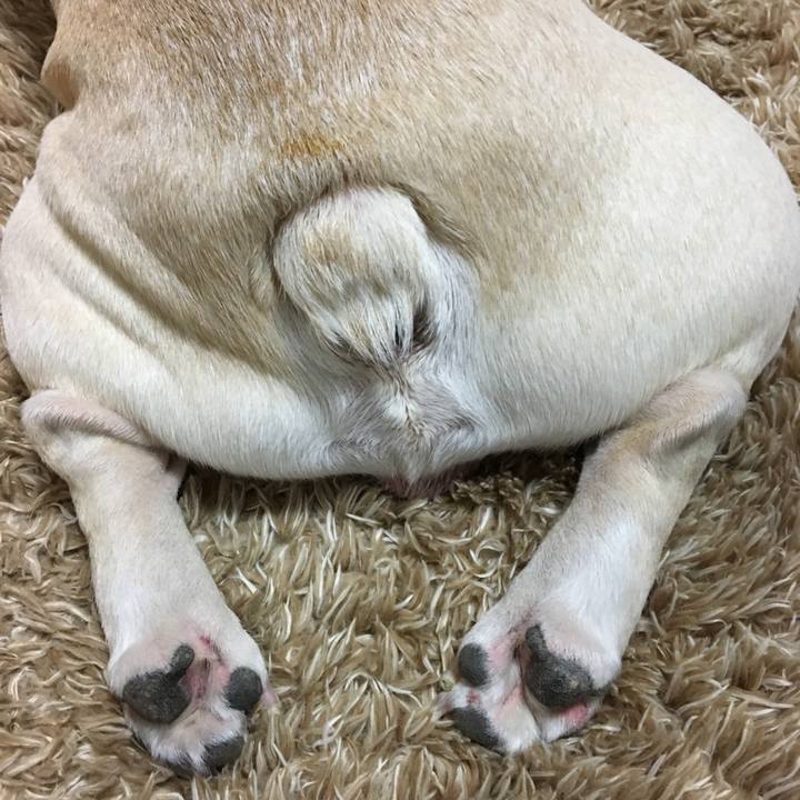 4ae09fec b519 4d9a 8fa8 44fe9501ea75 1514723448855