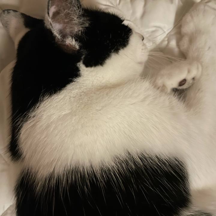 4ae0b06f 0768 4c5b 94db a138e34c51a4 1631722667593