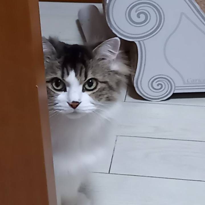 4ae1019f 80f0 4718 b690 17416b9e58ae 1645236104509