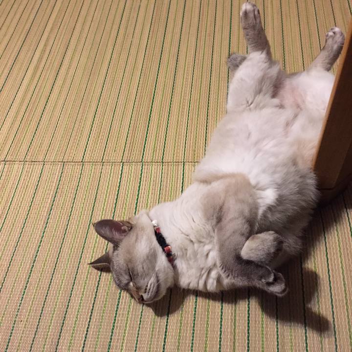 4ae1352d b8a4 4f5c 847f 91714269e429 1536145707561