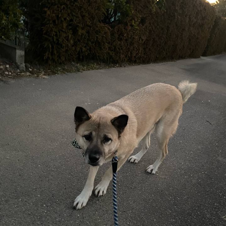 4ae17741 5923 405a 8897 2551a39a4349 1673522822491