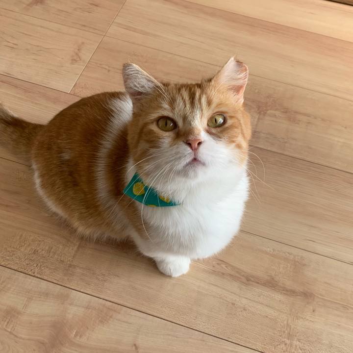 4ae1ba3e 7270 4c96 9f73 7448a9df2d1a 1595627318200