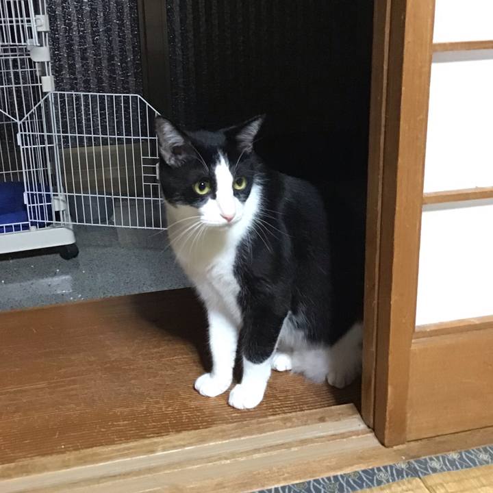 4ae1c749 b758 4709 8270 0ac6c8316f04 1694691097693