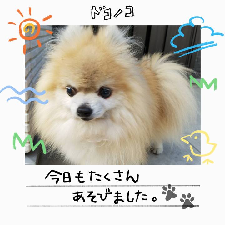 4ae1e2af 3184 45f9 91dd cfc60b6c660e 1755175100813