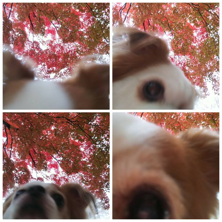 4ae24322 1567 4d29 a35d 5b8c4fddf567 1508932715803