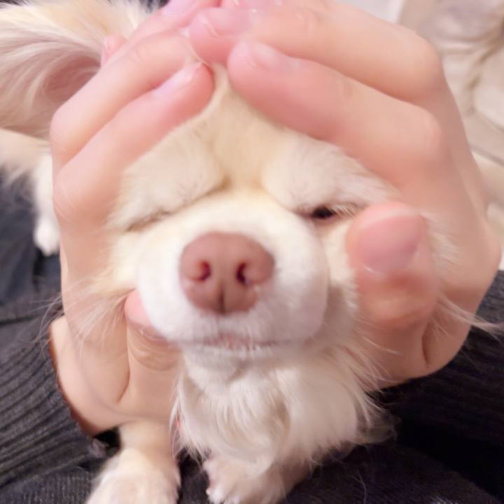 4ae25be0 0608 451d 94d1 c01577ef462f 1742996690391