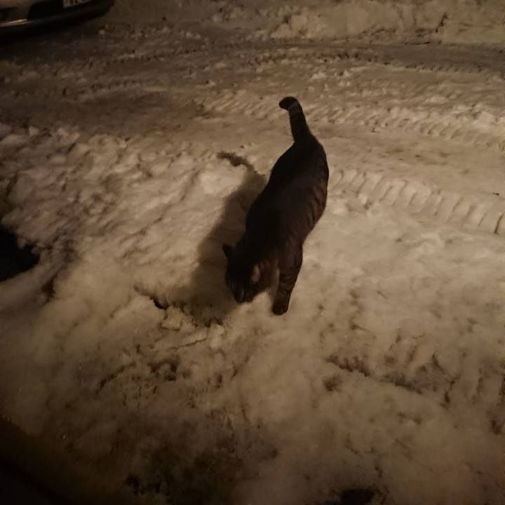 4ae27b76 b915 4046 9916 f4699661e766 1643448376685