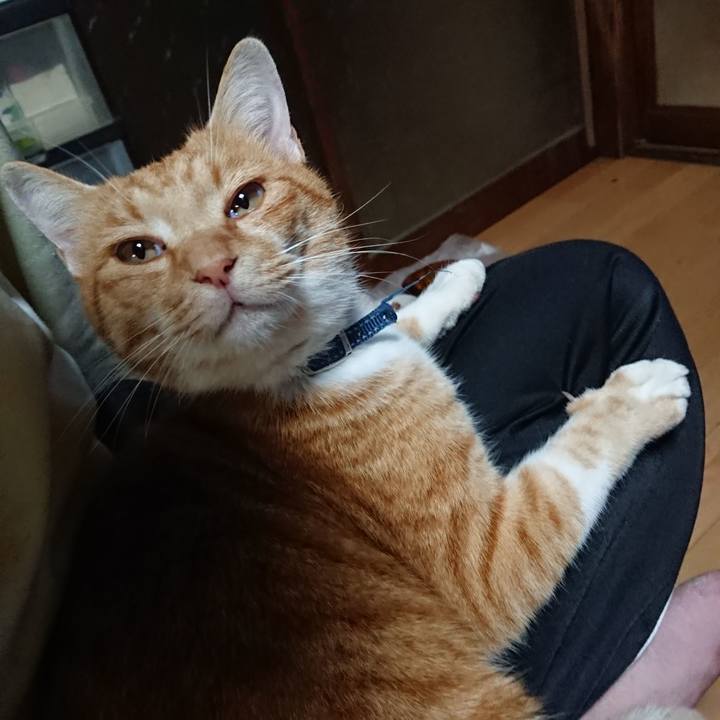 4ae298d4 807e 42a9 a4d4 784bfcfd8c3f 1604053196300