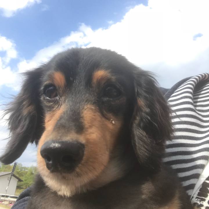 4ae2b23b c387 4bc3 a8cd 03ed485c3bfa 1525414876799