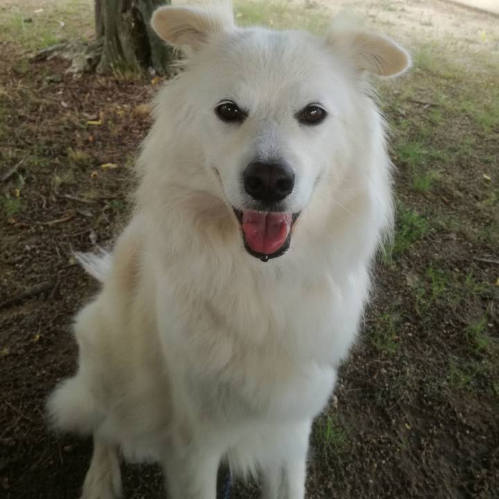 4ae2c5c9 4d11 4539 8b7d 224f723600f0 1528362049087