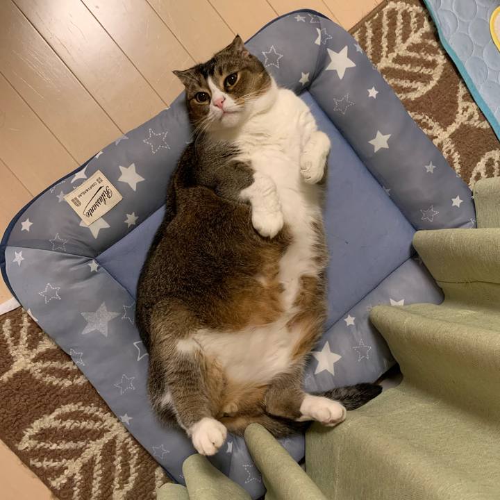 4ae2d497 338d 4e6d 9235 853a0d0cf06d 1602082009014