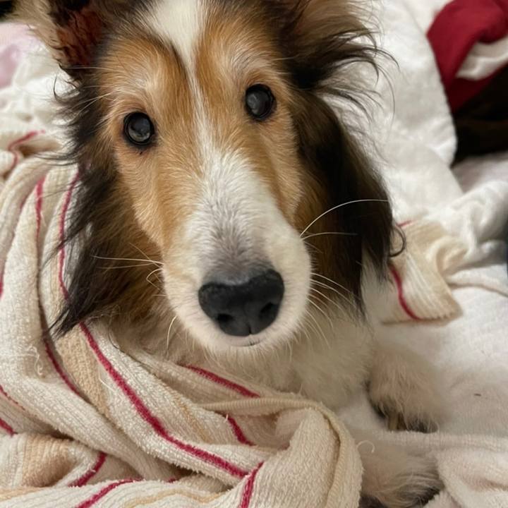 4ae30d0a 1e2a 486e b98b 717cf110fce1 1634041984865