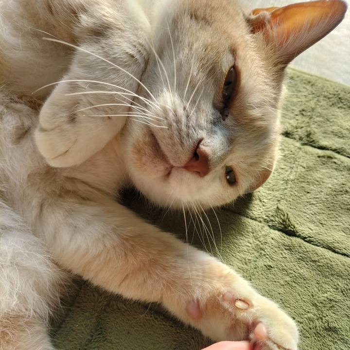 4ae32084 5753 4a76 8c9c b502f0d7cddf 1649374005124