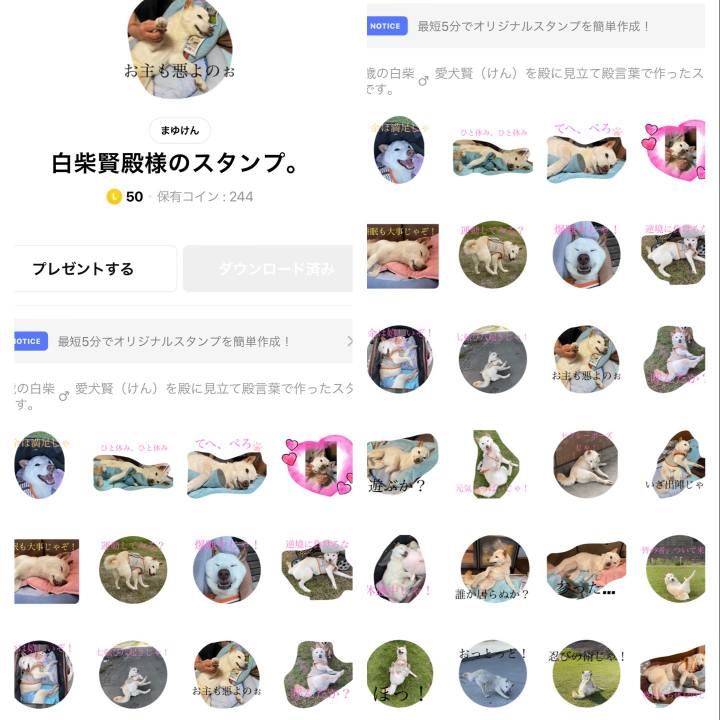 4ae35998 21a0 4361 b7af 315a2f7bee2a 1680088021363