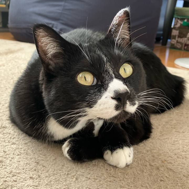 4ae35bb6 c42b 4ab6 89fb f760379fba6c 1706153197290