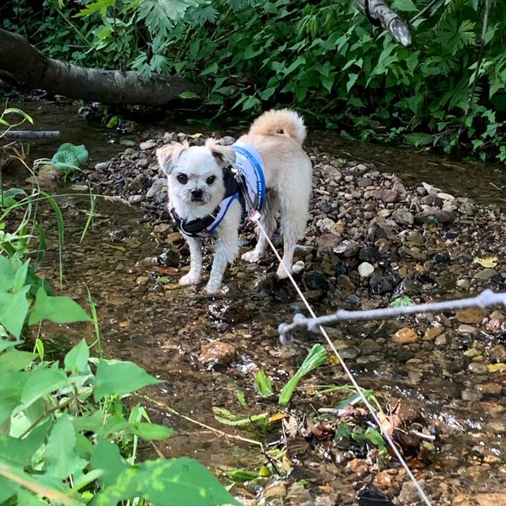 4ae39069 01b5 4831 9058 fe9c43f74473 1566872743253