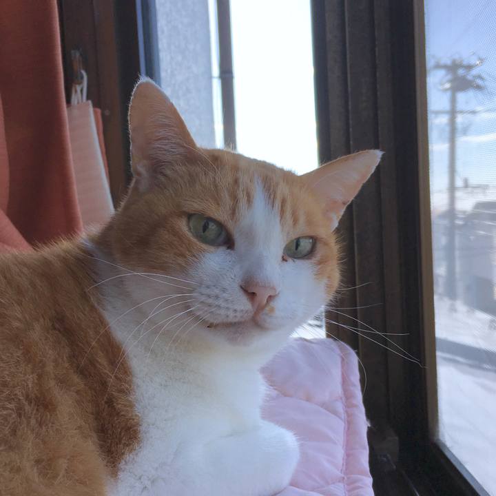 4ae39c9b 68be 4e4e 9e21 12dbf7c86151 1569370224846