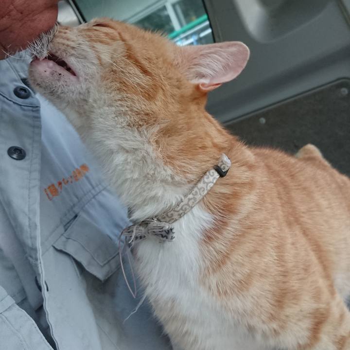 4ae39d42 f952 482c 9e8e 1580abd647d9 1591781609075