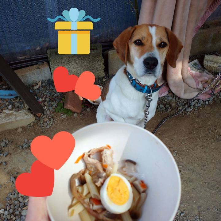 4ae3d3c1 d3d0 411c a6c8 009ca5817c7a 1613032070043