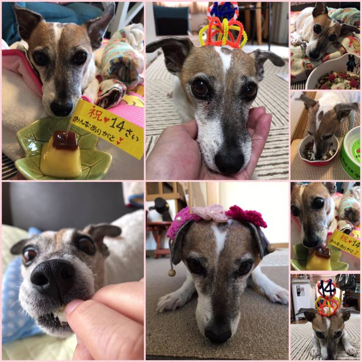 4ae421b5 a273 46a3 8a79 e47ab5691ac6 1533558868364