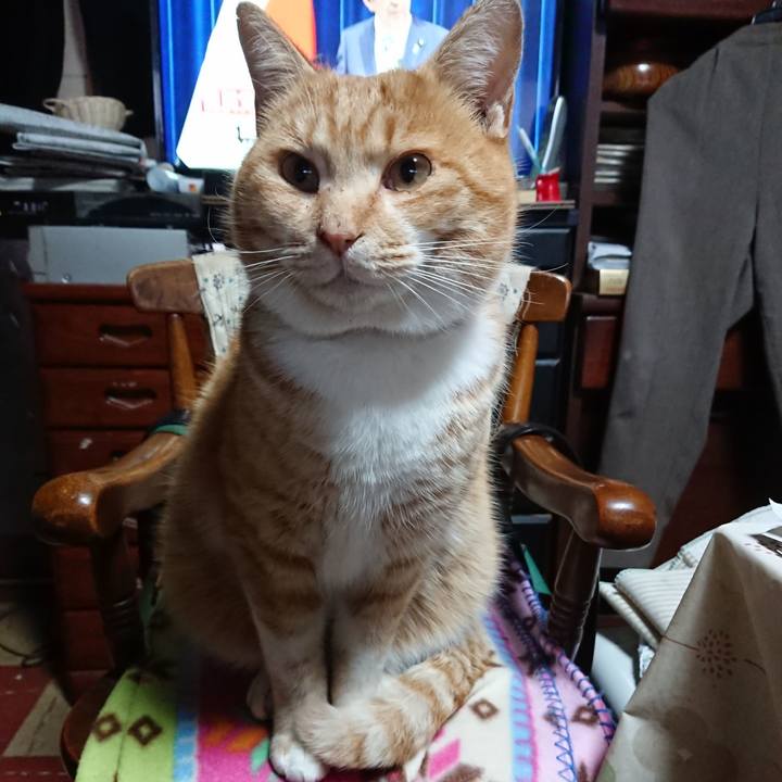 4ae428a2 80e6 479a b764 e4e48f720cad 1578004216775