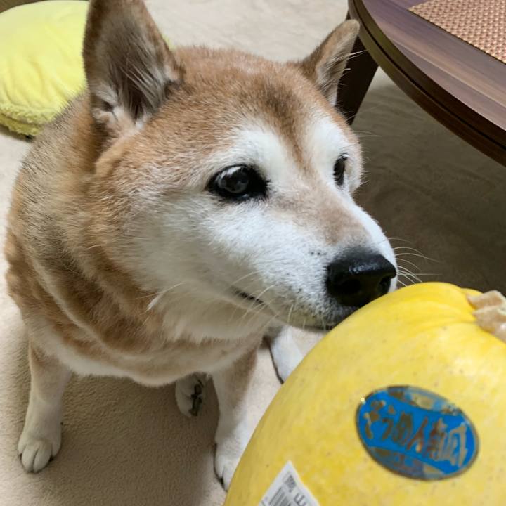 4ae43e78 c4e7 4711 a775 036d4c698ad9 1565342425476