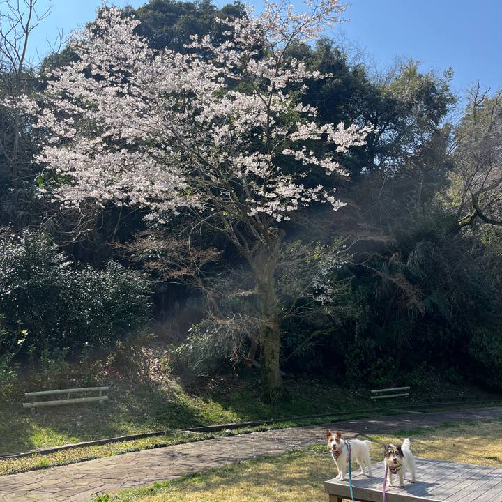 4ae4772b 4d21 425f 9f51 fb1201497a03 1774785372828