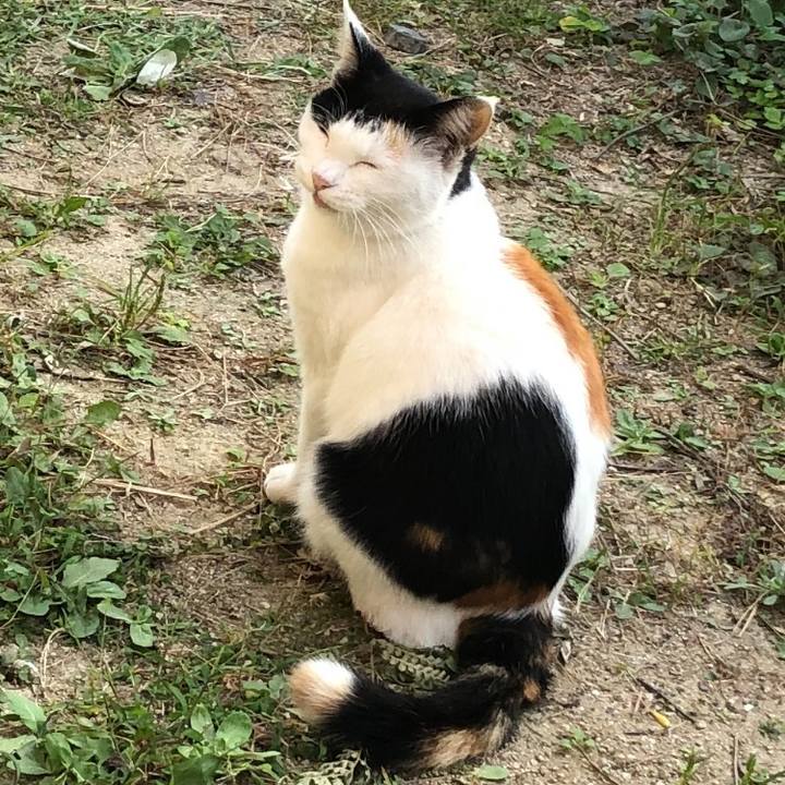 4ae4a741 020d 4eb1 84b5 b8940c3e8c47 1602628254696