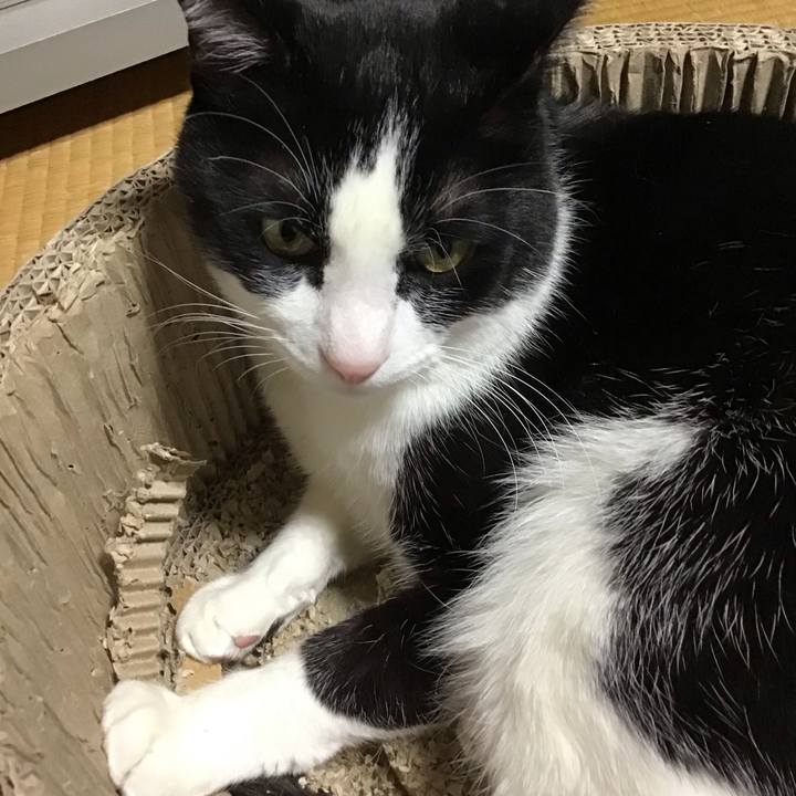 4ae4be22 d02e 4cd7 aa59 1db6598ed33a 1709371708548