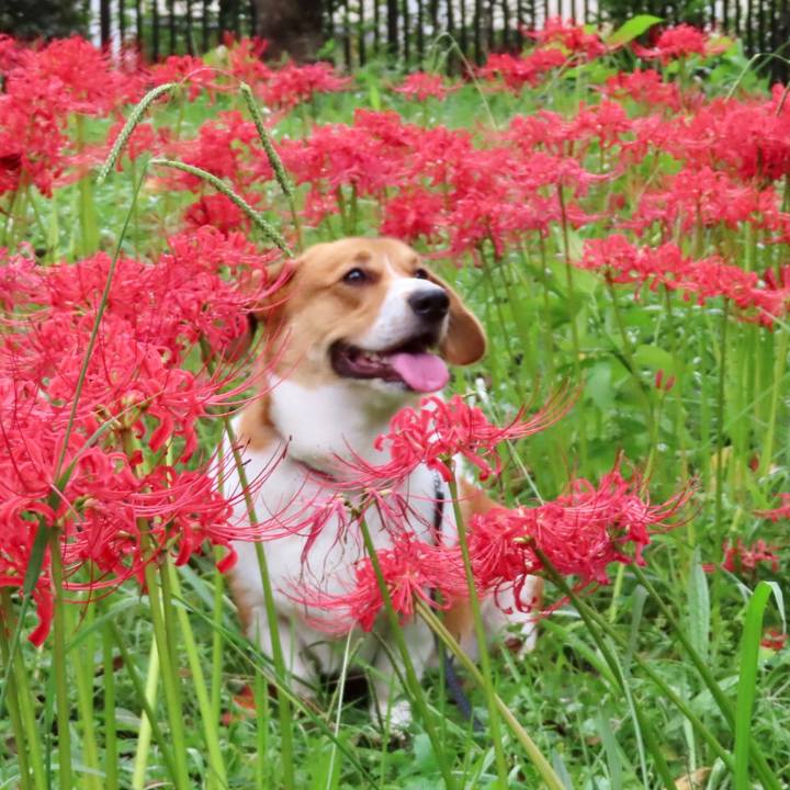 4ae4e0cc f85a 4aae ae99 cec20056c4fb 1632010815238