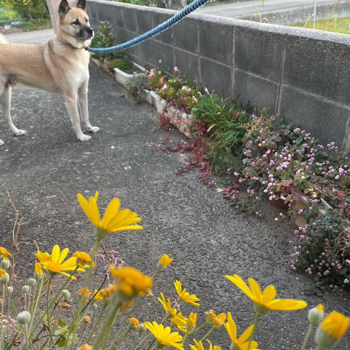 4ae506ef 948b 4d8d 8885 2a7d6f310c6d 1668083736334