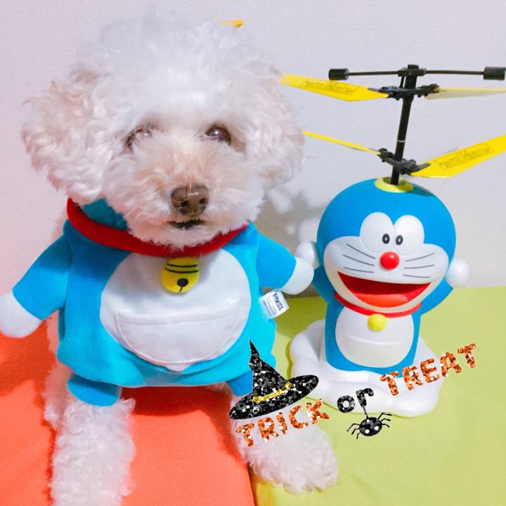 4ae518dd da2c 4c1d 8b7d eed7f5aa62a7 1509438512099