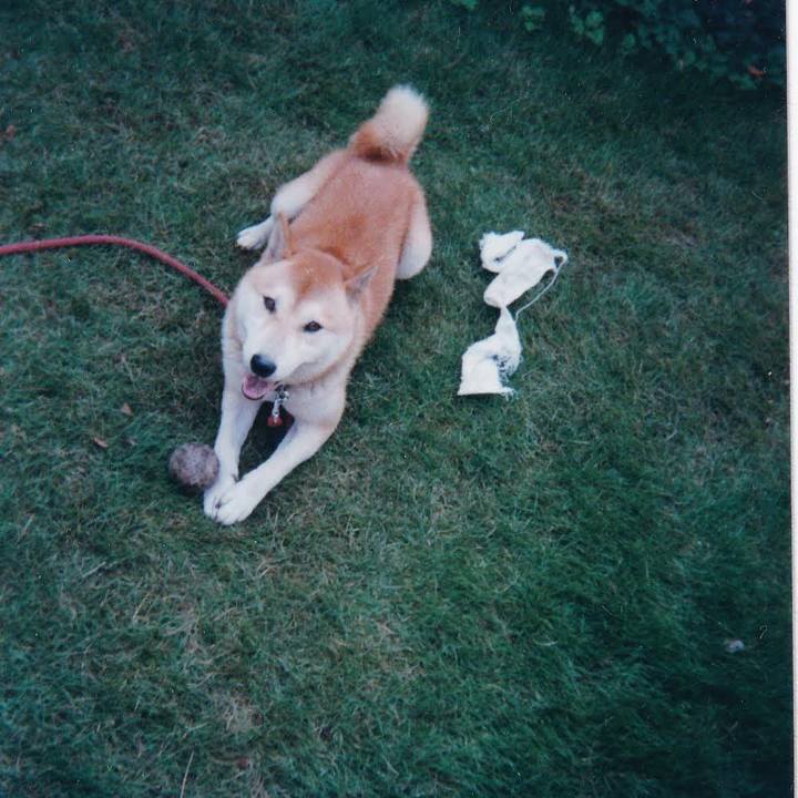 4ae56609 997c 452c a558 380e300f5c51 1753231030348