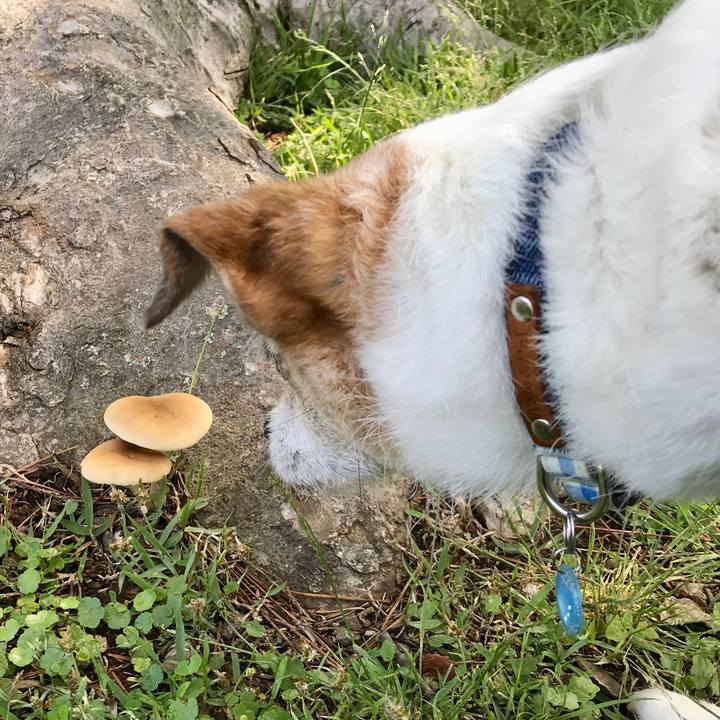 4ae5686c 1b99 4478 8d98 e093d8e5a2c7 1652848305076