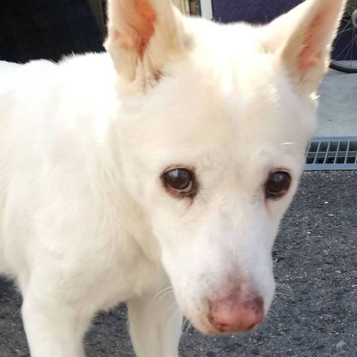 4ae56b38 0b56 4a17 bb49 3b2679596692 1765620987841