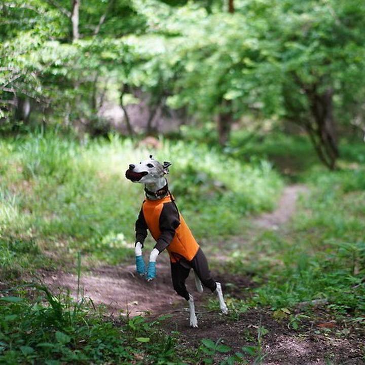 4ae57d2d a147 4171 b9c4 5eacb8759466 1533309586043